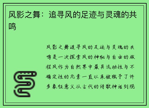 风影之舞：追寻风的足迹与灵魂的共鸣